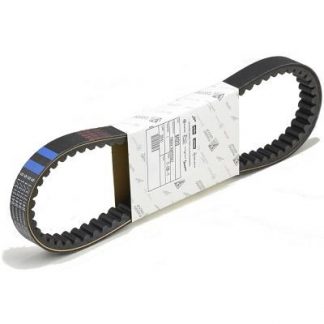 841213 DRIVE BELT LEADER 125 4V