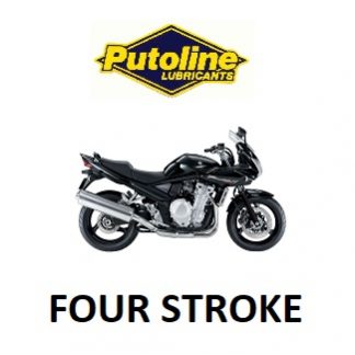 FOUR STROKE OIL PRODUCTS