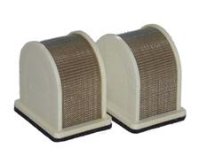 EN450A1-A5 LTD AIR CLEANER HFA2404