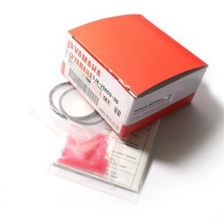 CALIPER SEAL KIT