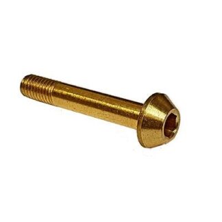 T3330688 BOLT BRASS M5 X 30