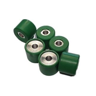 842870 ROLLER X9 250. B250