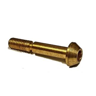 T3330689 BOLT BRASS SHEAR M5 X