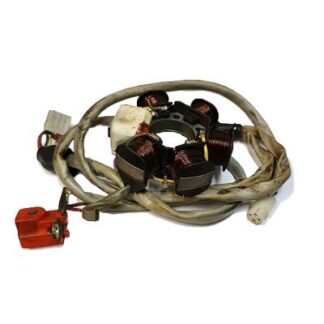 294971 STATOR NON-LEADER (USED)