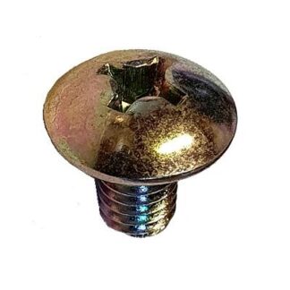 021420610A SCREW