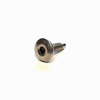 AP8152302 SCREW W/ FLANGE M5X12*