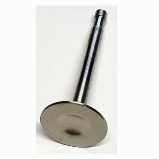 WW95112 EXHAUST VALVE B44 VICTOR