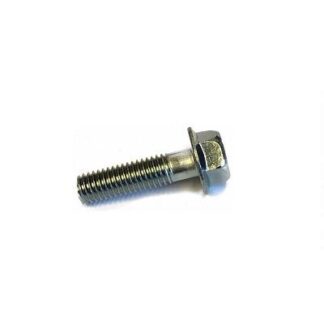0910308269 BOLT 8X30