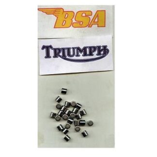 WW26189 CLUTCH CENTRE ROLLERS 1/4 X 6MM
