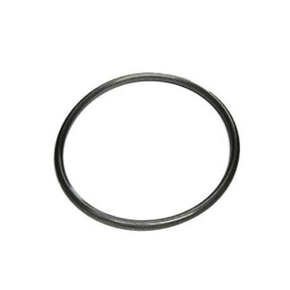 1010088/A O RING FUEL PUMP