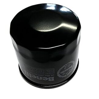 260146090010 OIL FILTER