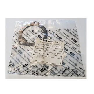 872256 EXHAUST GASKET