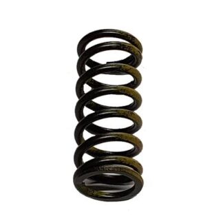 T1171009 SPRING. CLUTCH
