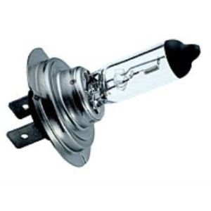 12V 55W – H7 HEADLAMP BULB
