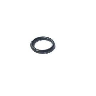 495269 GASKET RING