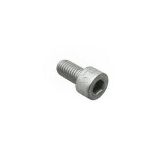319165 SCREW