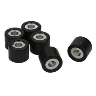 CM1102025 VARIATOR ROLLERS