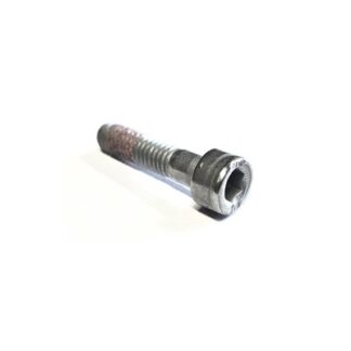 RAL00390 BOLT CAP, M6 X 25, 8.8, WHT