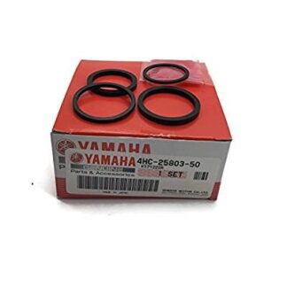 4HC2580350 CALIPER SEAL KIT