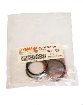 1NLW004700 CALIPER SEAL KIT