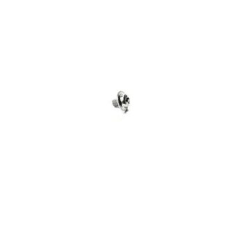 1FN1456500 SCREW